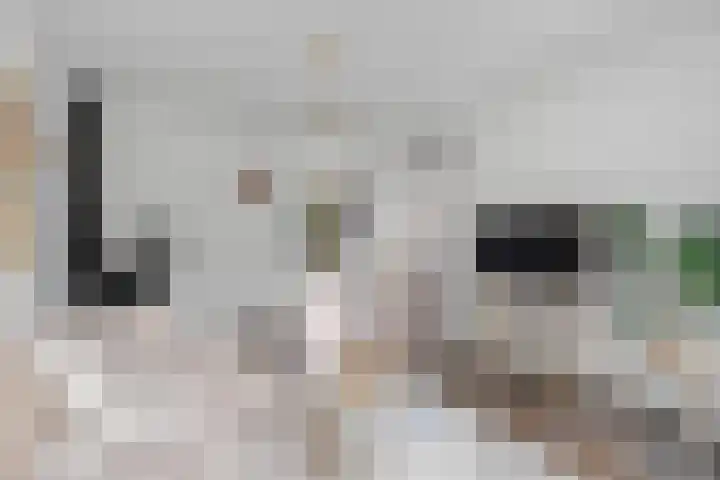 Prof. Oudlaan 7 Woerden thumbnail 9