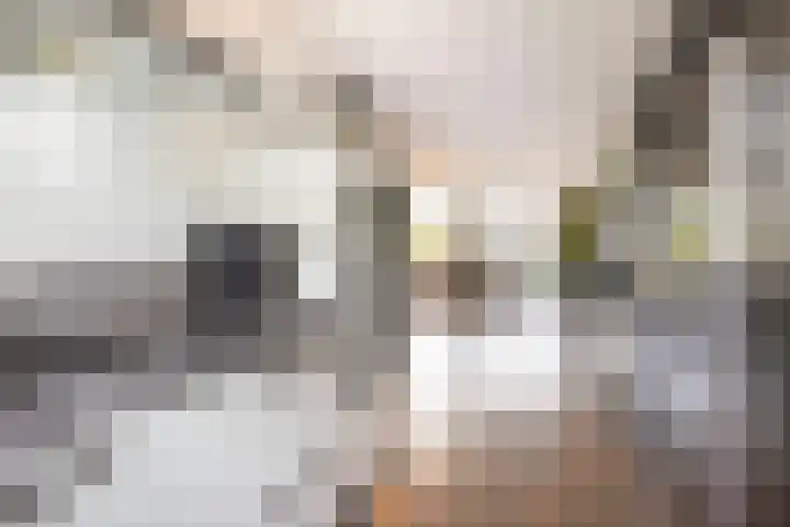 Prof. Oudpark 67 Ede thumbnail 13