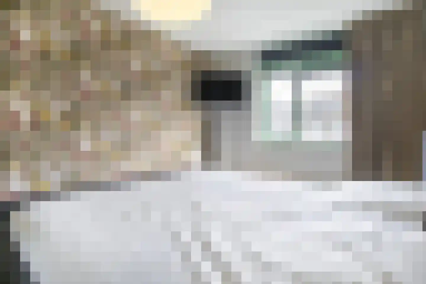 Prof. Oudpark 67 Ede thumbnail 19