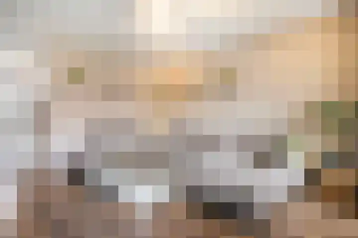 Prof. Oudpark 67 Ede thumbnail 4