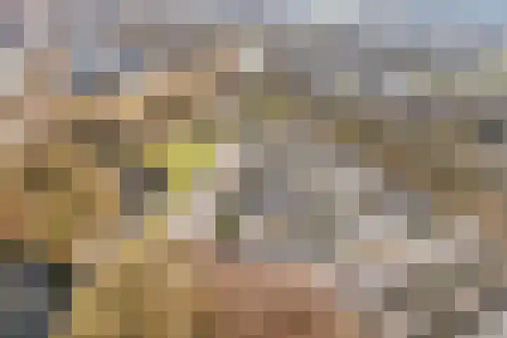Prof. Oudpark 67 Ede thumbnail 49