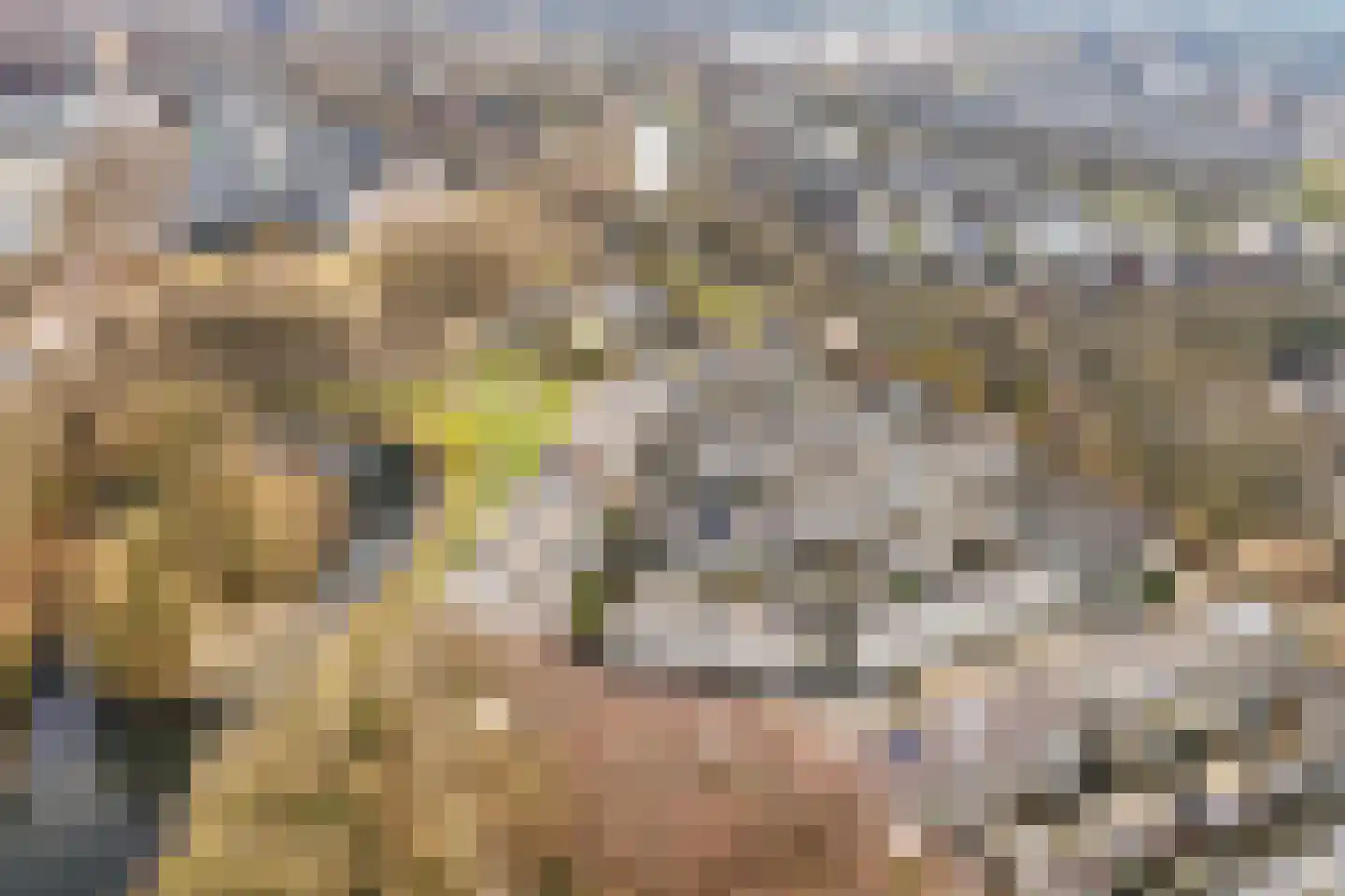 Prof. Oudpark 67 Ede thumbnail 49
