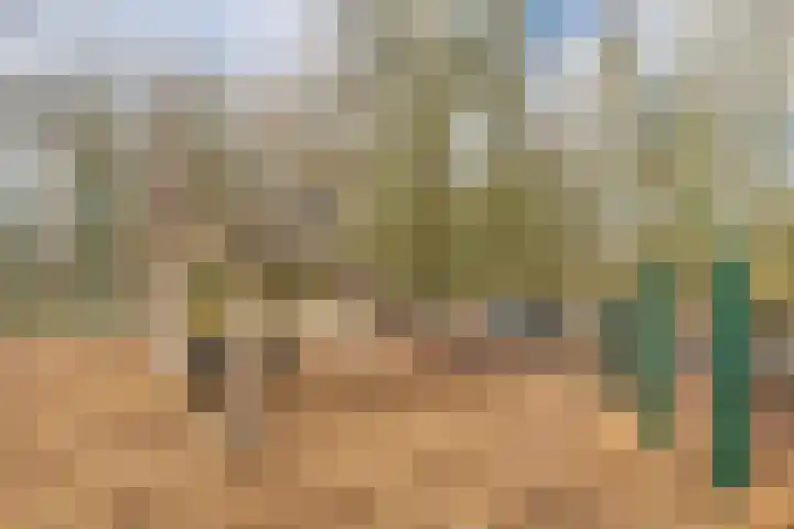 Prof. Oudpark 67 Ede thumbnail 50
