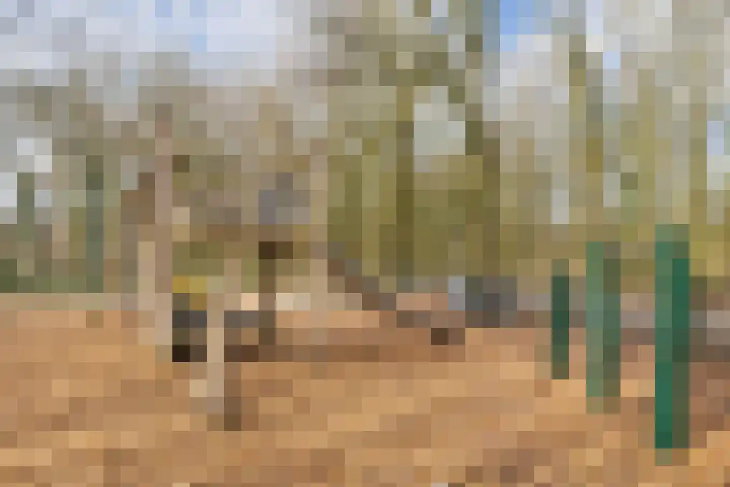 Prof. Oudpark 67 Ede thumbnail 50