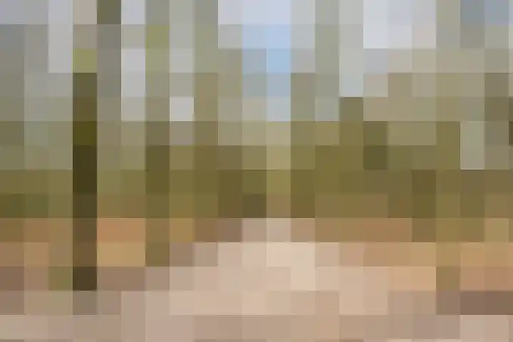 Prof. Oudpark 67 Ede thumbnail 51