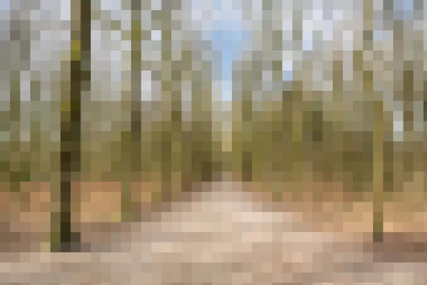 Prof. Oudpark 67 Ede thumbnail 51