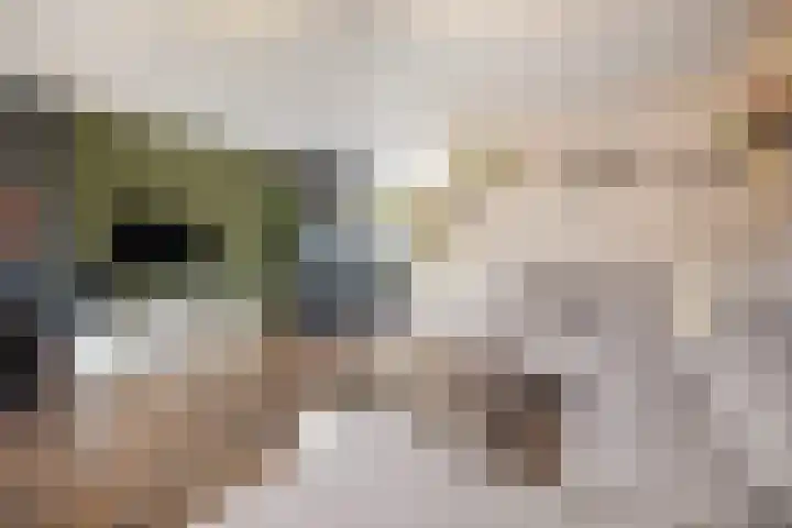 Prof. Oudpark 67 Ede thumbnail 7
