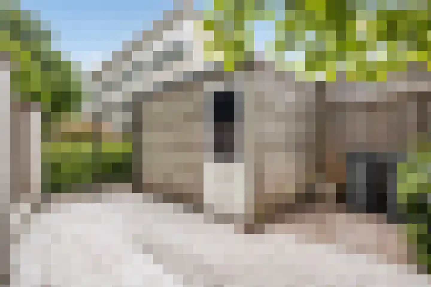 Prof. Oudpark 85 Ede thumbnail 39