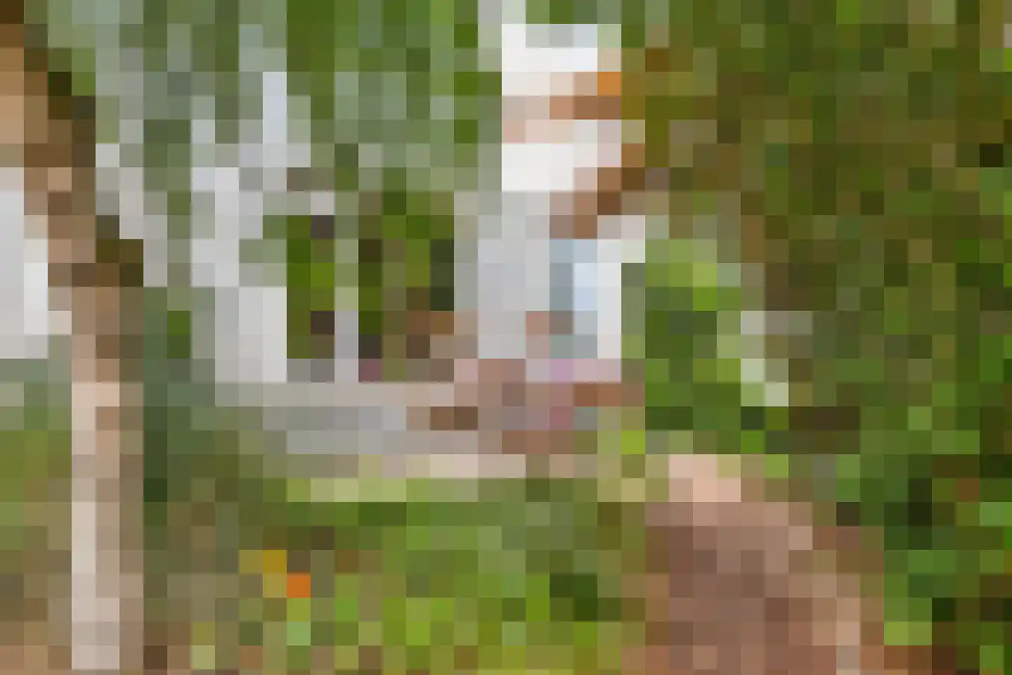 Prof. Oudpark 85 Ede thumbnail 42