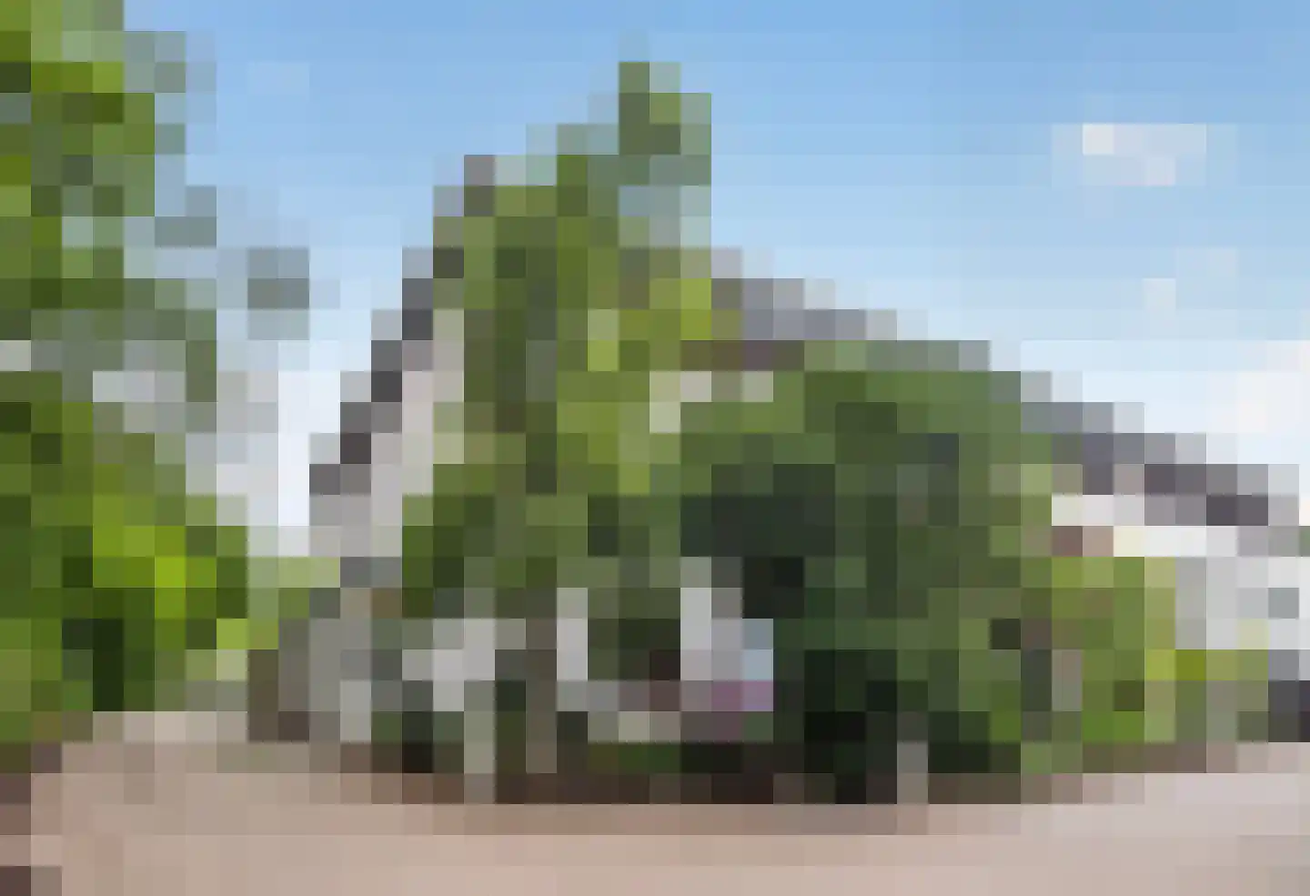 Prof. Oudpark 85 Ede thumbnail 43