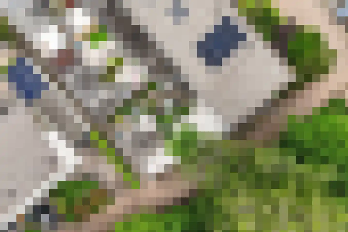 Prof. Oudpark 85 Ede thumbnail 45
