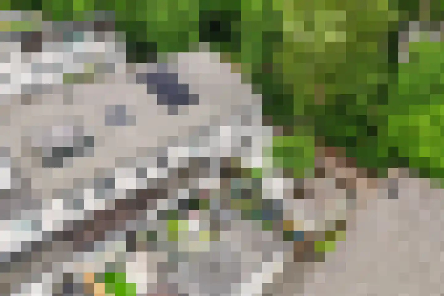Prof. Oudpark 85 Ede thumbnail 47