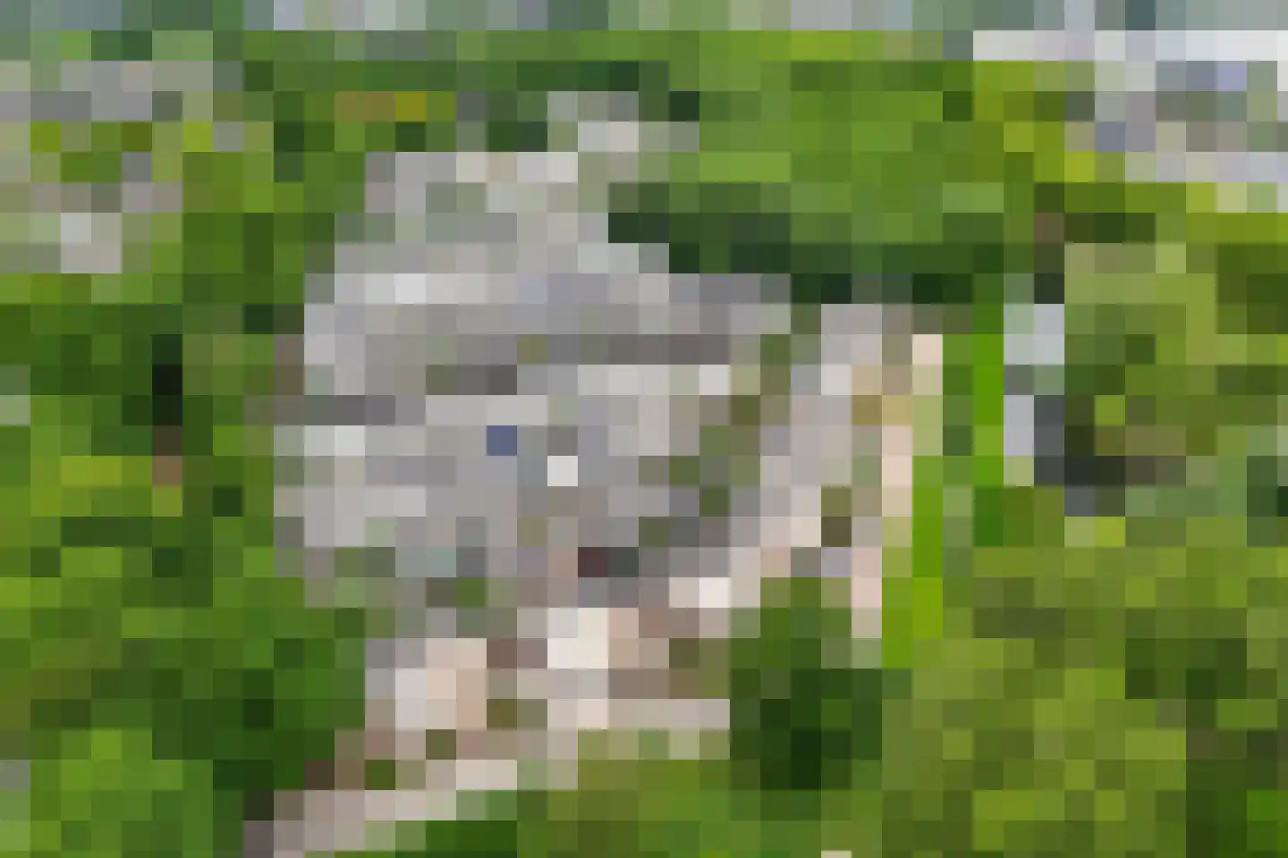 Prof. Oudpark 85 Ede thumbnail 48