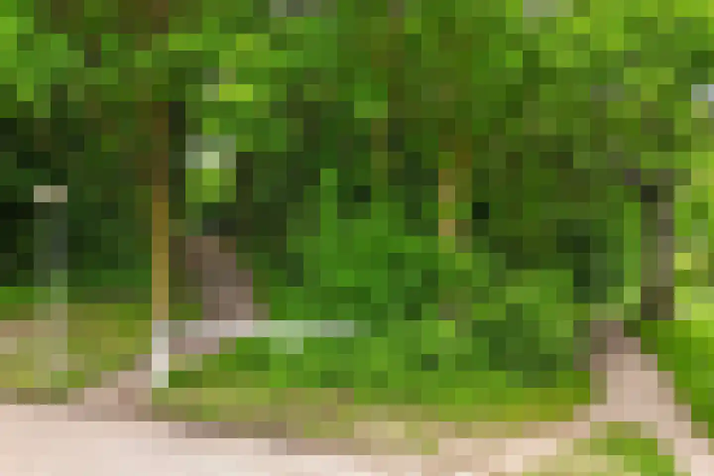 Prof. Oudpark 85 Ede thumbnail 50