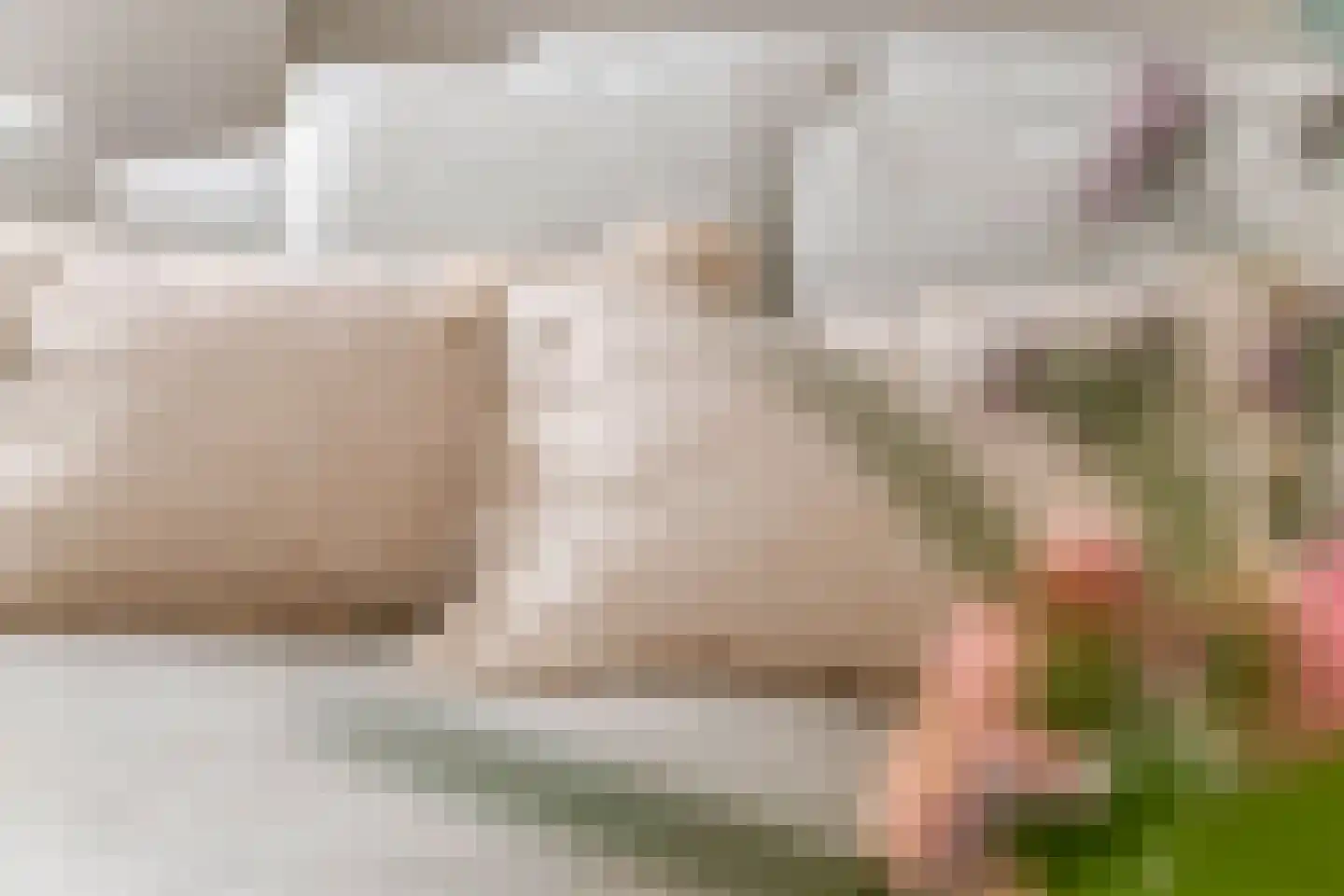 Prof. P.H. Buismanlaan 30 Tiel thumbnail 12