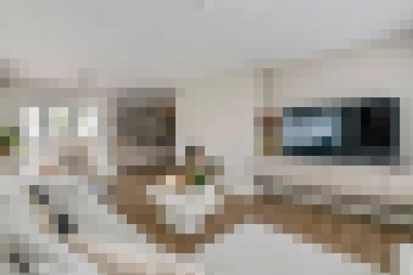 Prof. P.H. Buismanlaan 30 Tiel thumbnail 13