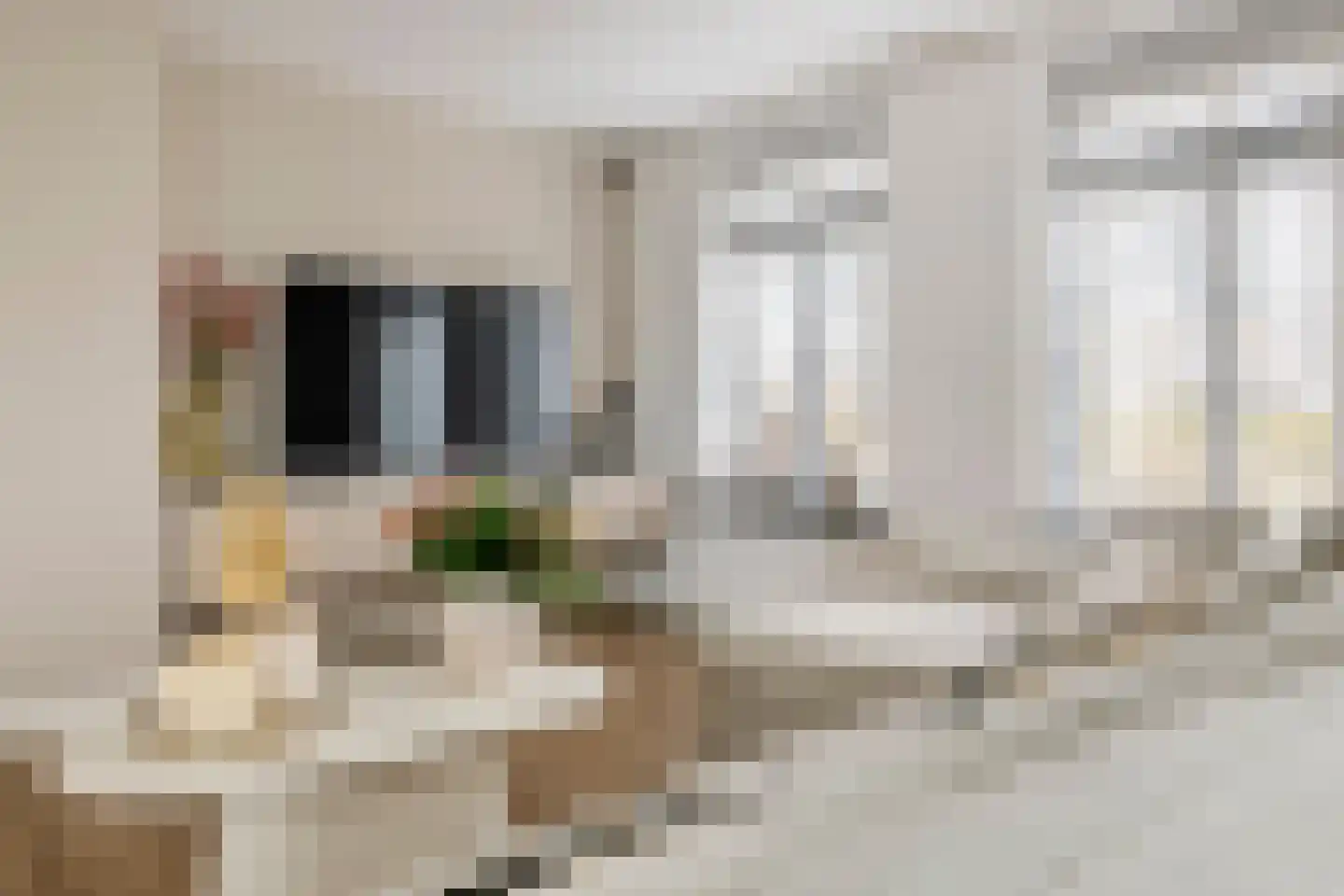 Prof. P.H. Buismanlaan 30 Tiel thumbnail 14