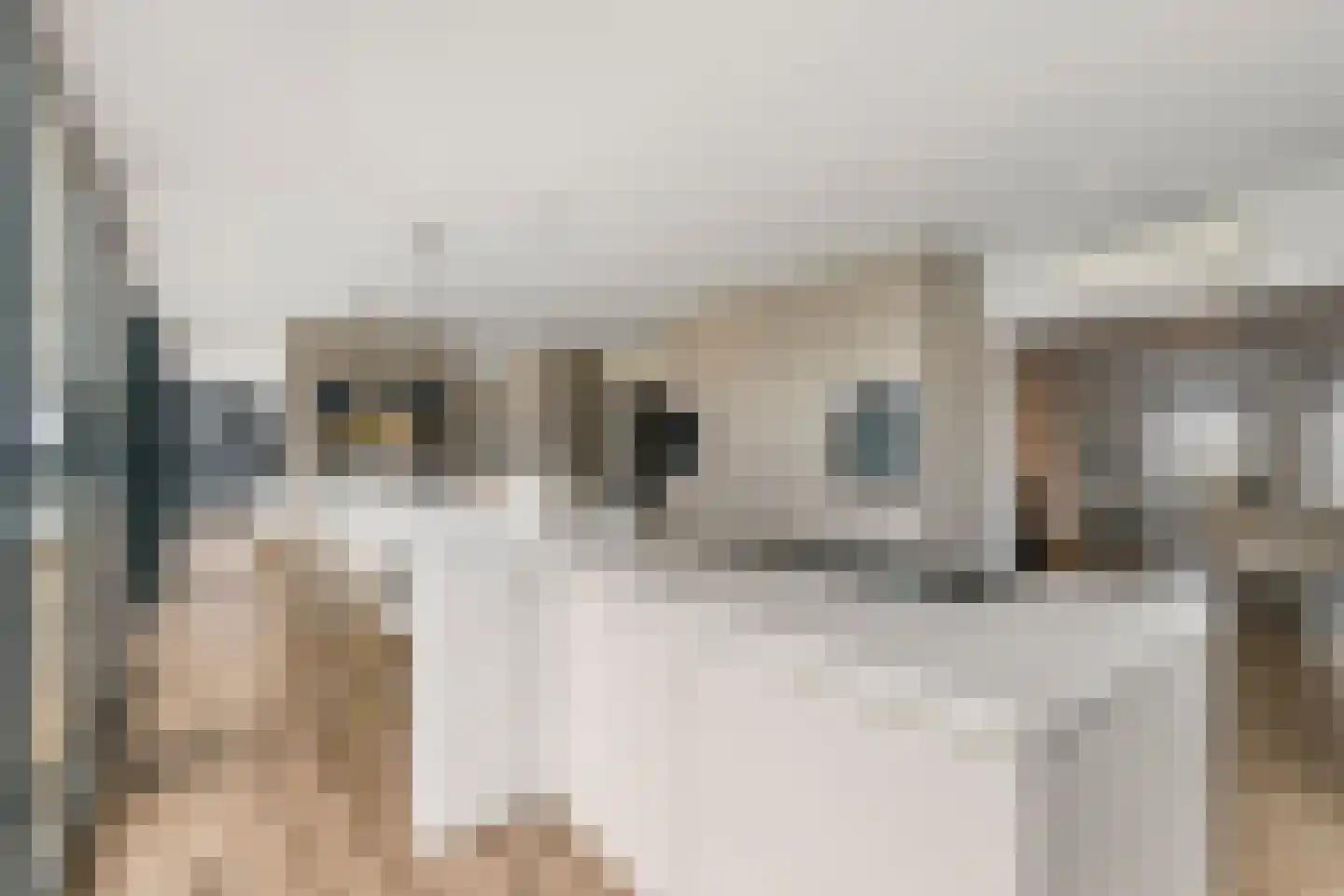 Prof. P.H. Buismanlaan 30 Tiel thumbnail 15