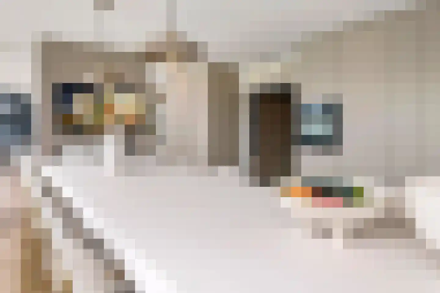 Prof. P.H. Buismanlaan 30 Tiel thumbnail 16