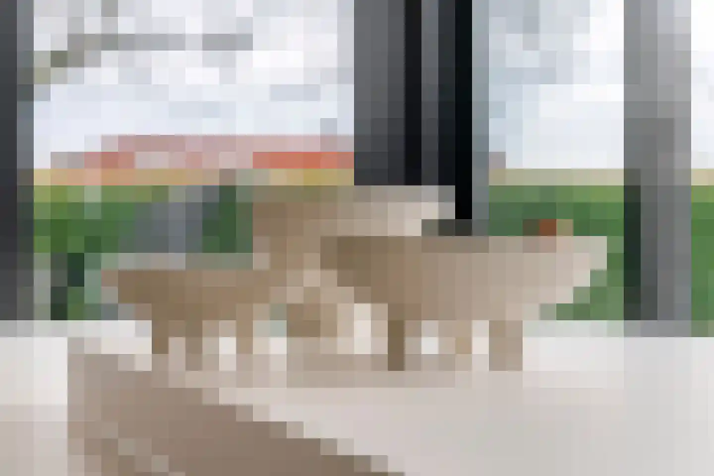 Prof. P.H. Buismanlaan 30 Tiel thumbnail 17
