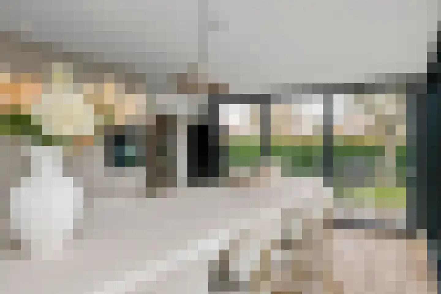 Prof. P.H. Buismanlaan 30 Tiel thumbnail 21