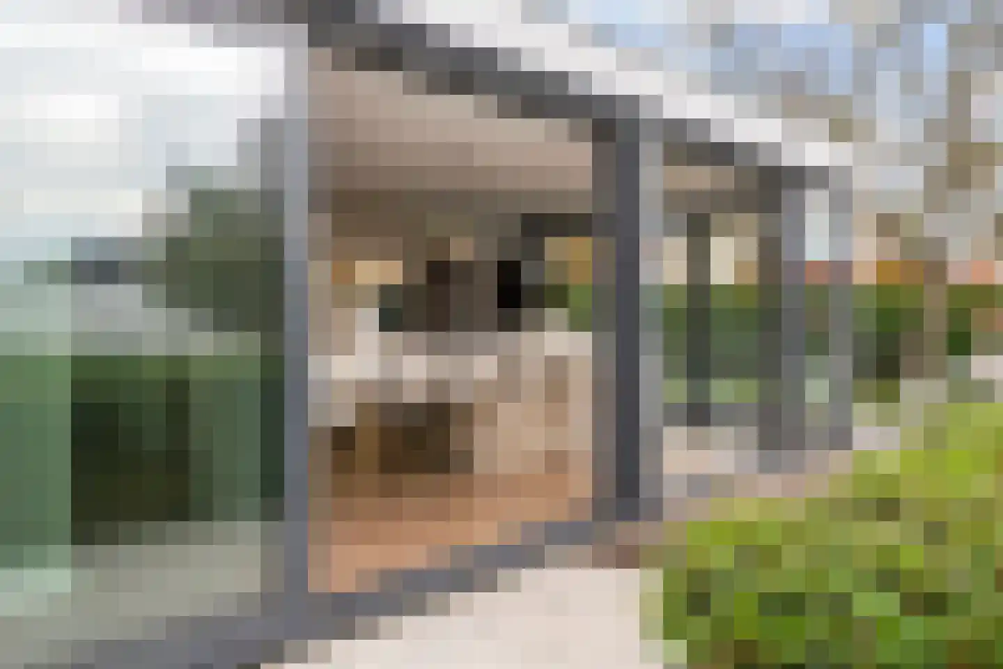 Prof. P.H. Buismanlaan 30 Tiel thumbnail 22