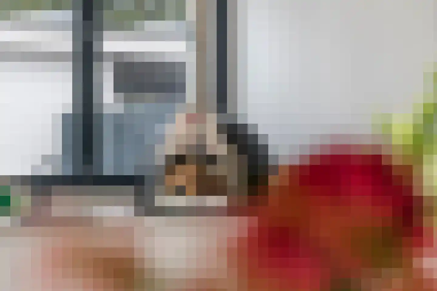 Prof. P.H. Buismanlaan 30 Tiel thumbnail 26