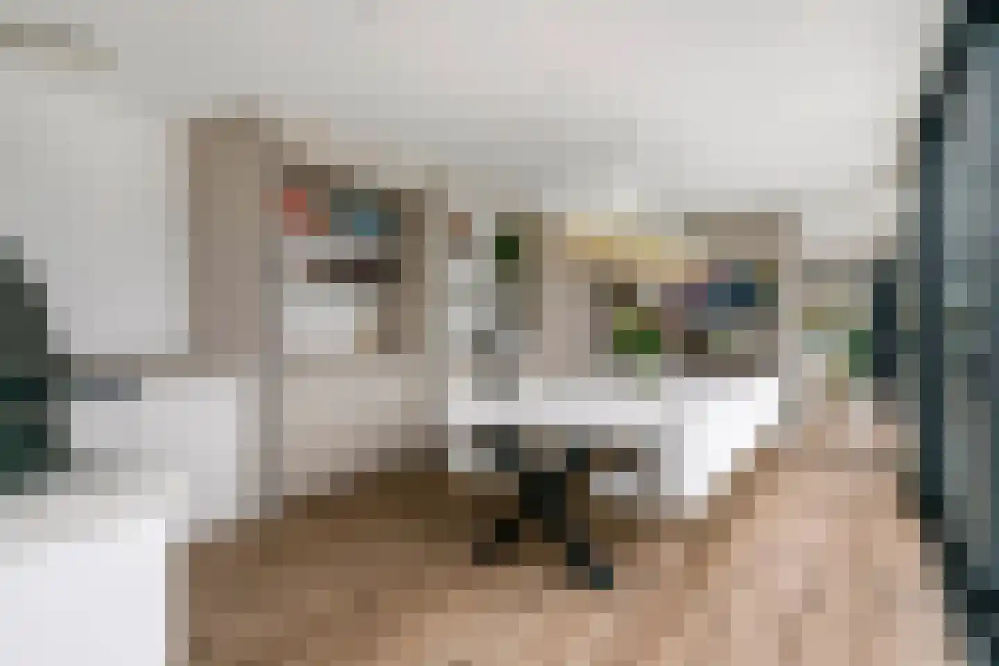 Prof. P.H. Buismanlaan 30 Tiel thumbnail 29