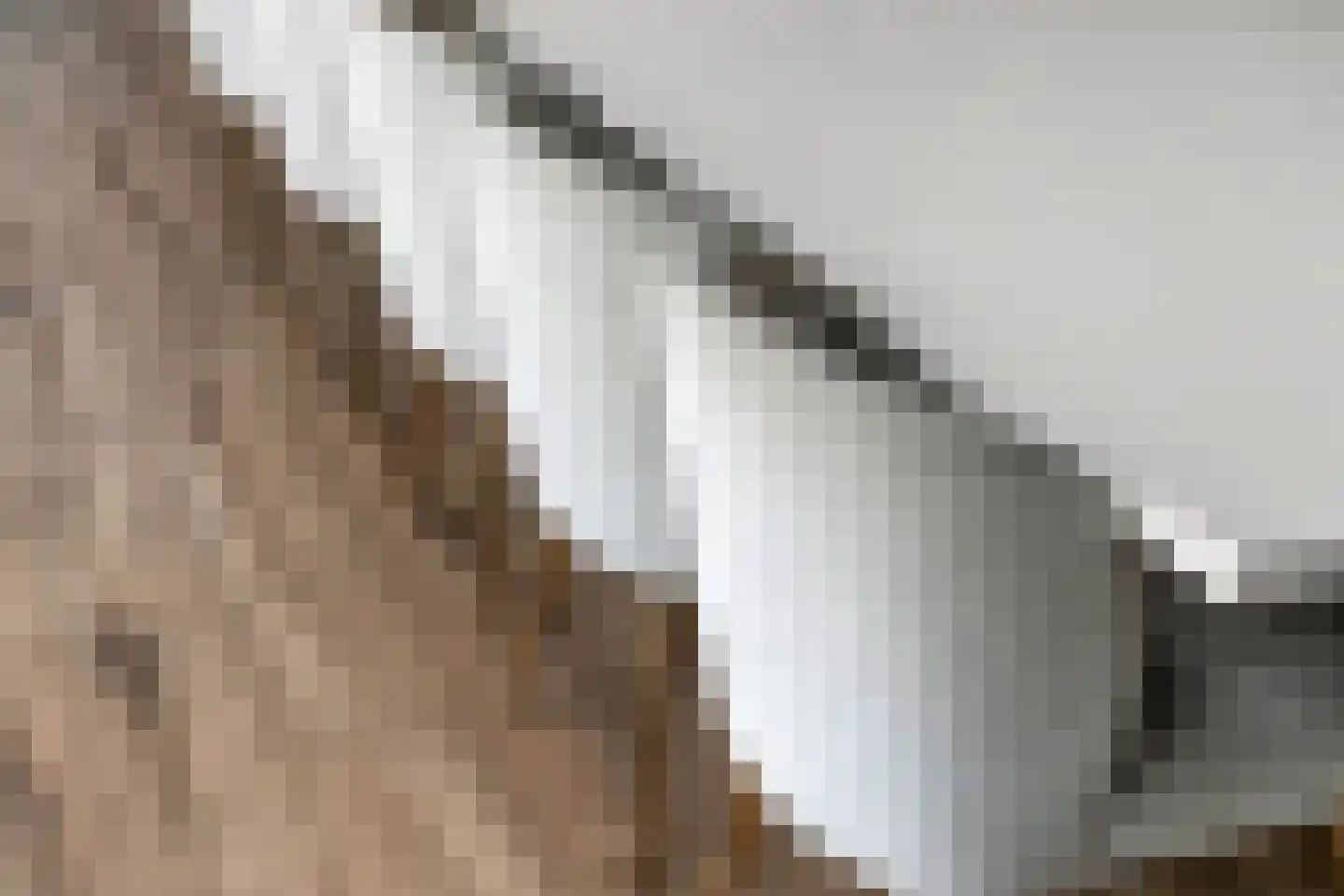 Prof. P.H. Buismanlaan 30 Tiel thumbnail 29