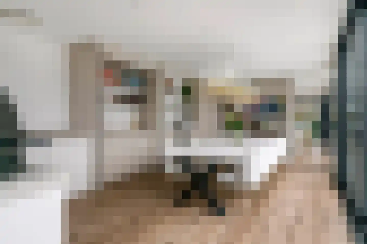 Prof. P.H. Buismanlaan 30 Tiel thumbnail 30