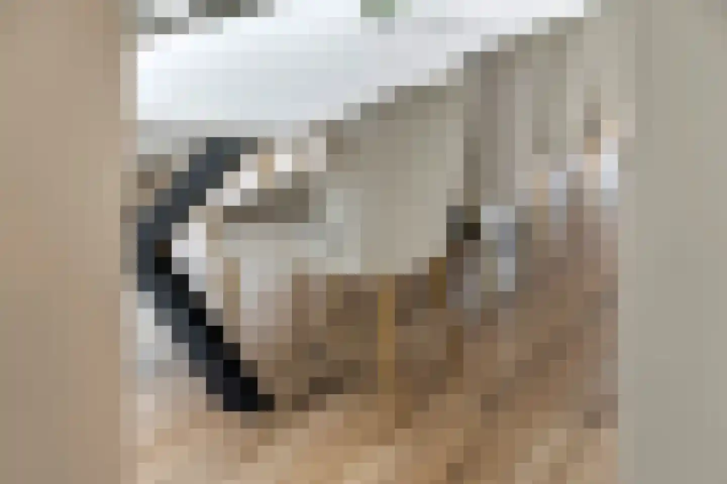 Prof. P.H. Buismanlaan 30 Tiel thumbnail 31