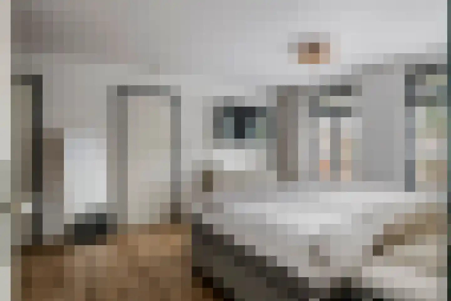 Prof. P.H. Buismanlaan 30 Tiel thumbnail 34