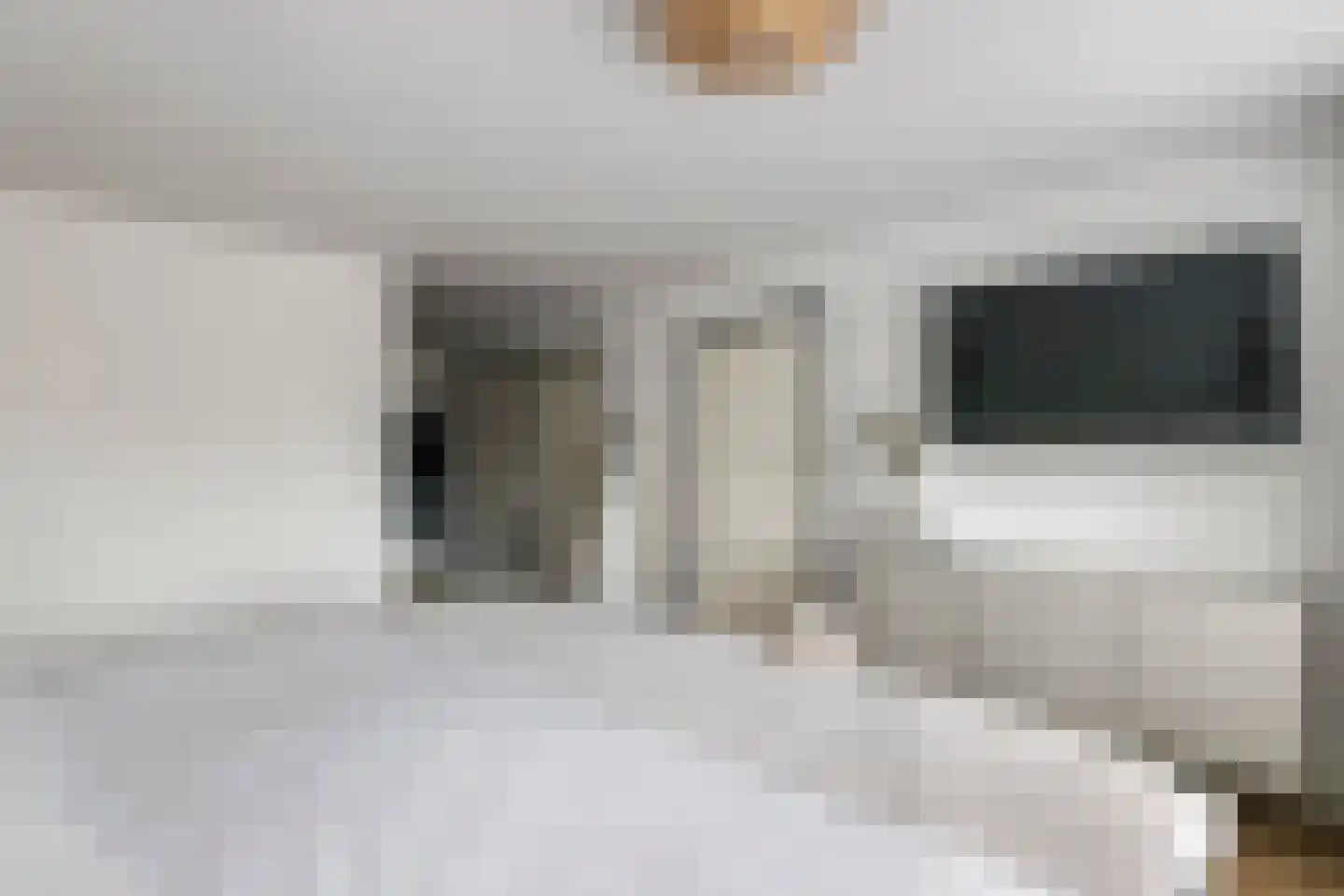 Prof. P.H. Buismanlaan 30 Tiel thumbnail 36