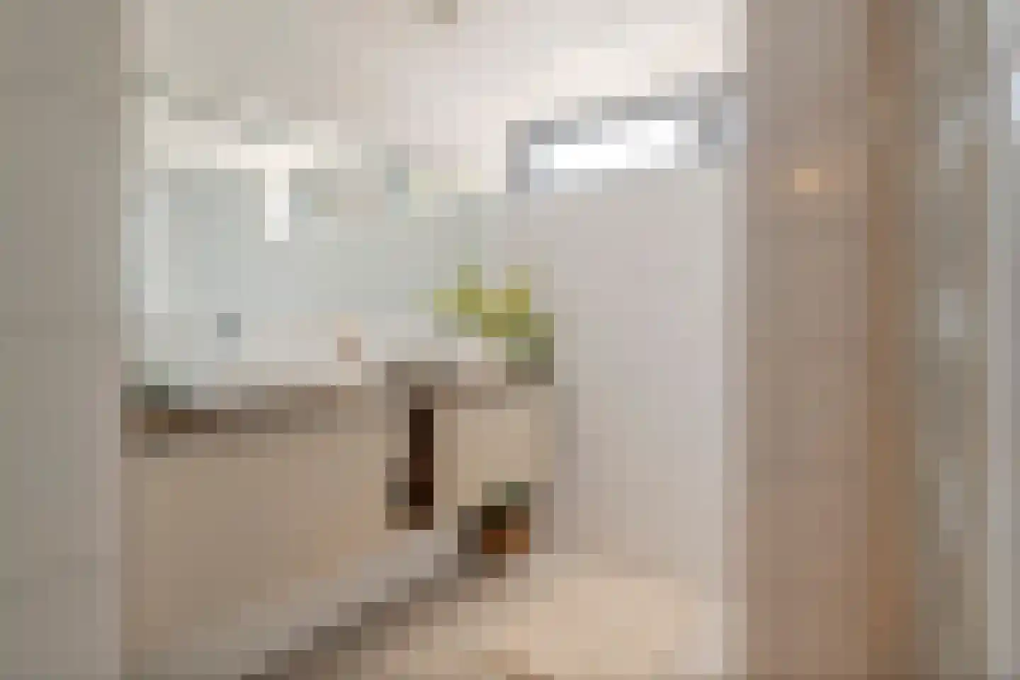 Prof. P.H. Buismanlaan 30 Tiel thumbnail 37