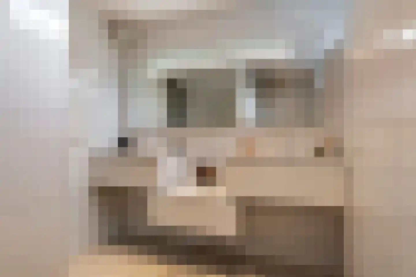 Prof. P.H. Buismanlaan 30 Tiel thumbnail 39
