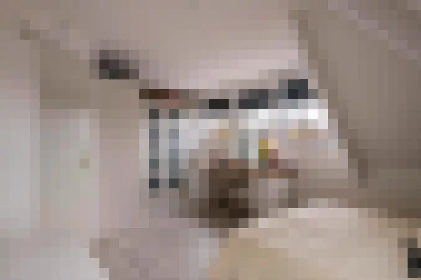 Prof. P.H. Buismanlaan 30 Tiel thumbnail 47