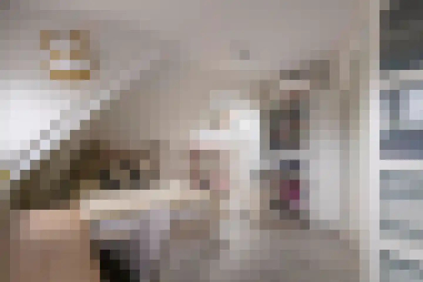 Prof. P.H. Buismanlaan 30 Tiel thumbnail 47