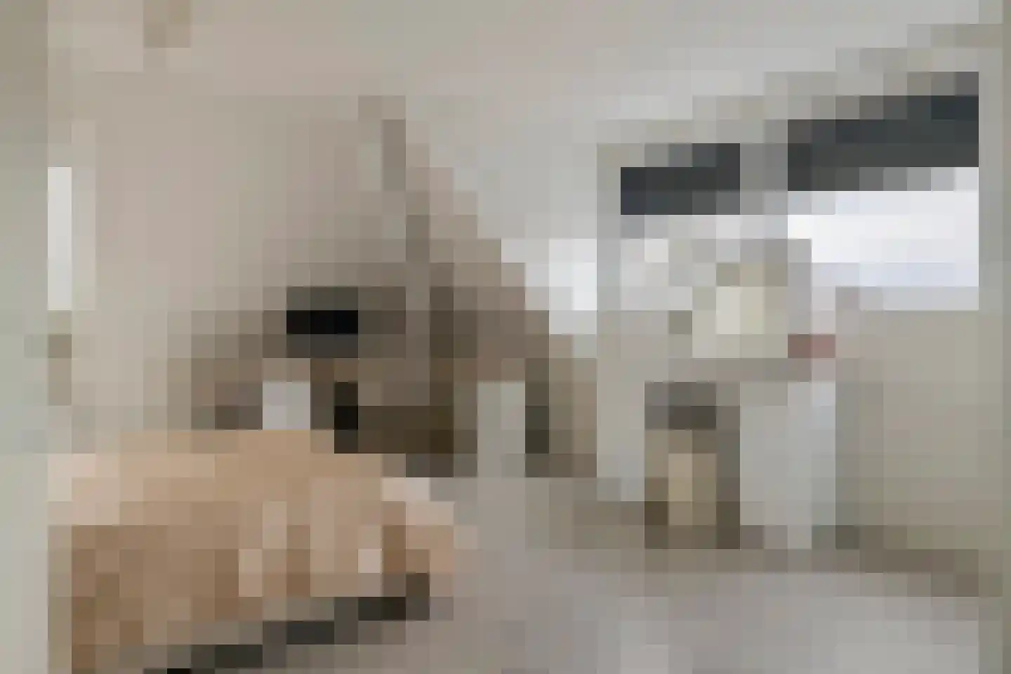 Prof. P.H. Buismanlaan 30 Tiel thumbnail 48