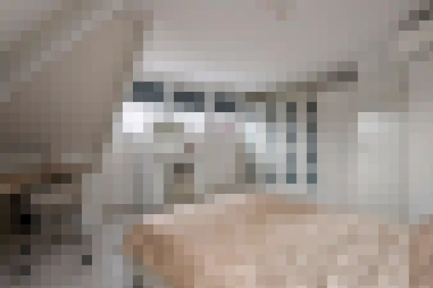 Prof. P.H. Buismanlaan 30 Tiel thumbnail 51
