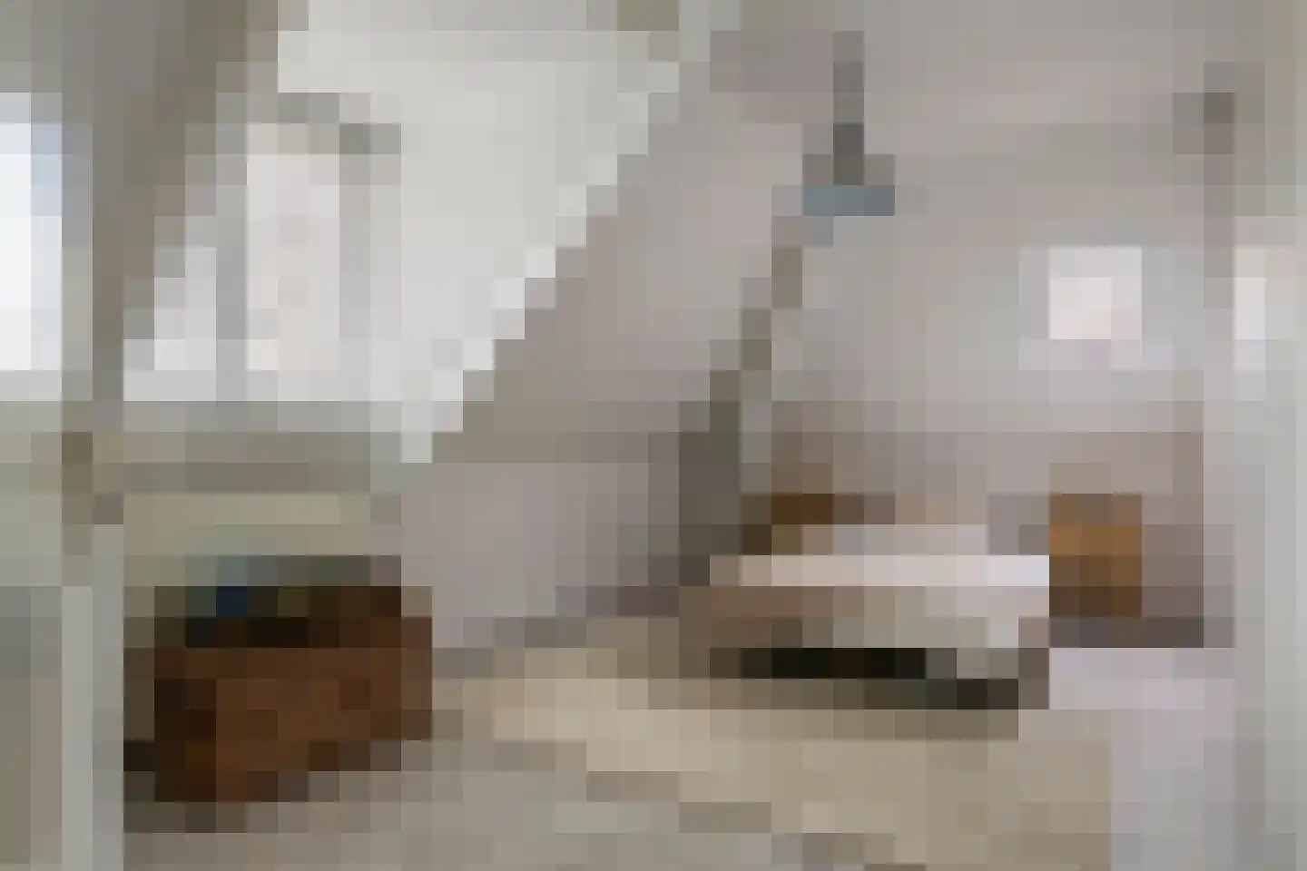Prof. P.H. Buismanlaan 30 Tiel thumbnail 52