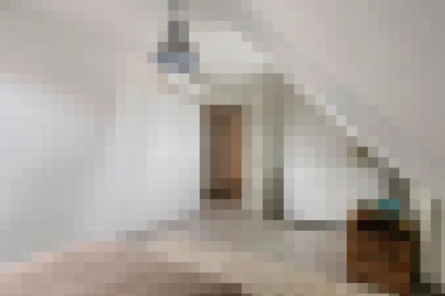 Prof. P.H. Buismanlaan 30 Tiel thumbnail 52