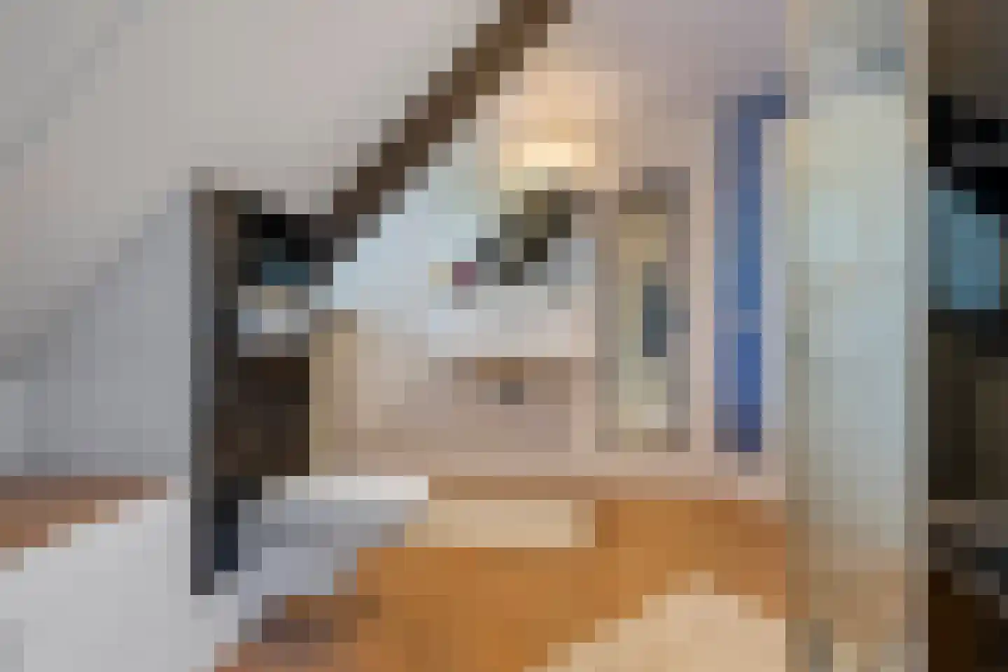 Prof. P.H. Buismanlaan 30 Tiel thumbnail 56