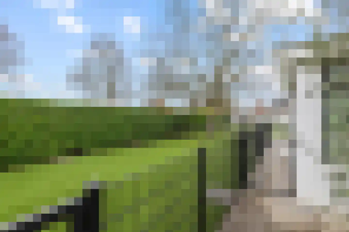 Prof. P.H. Buismanlaan 30 Tiel thumbnail 62