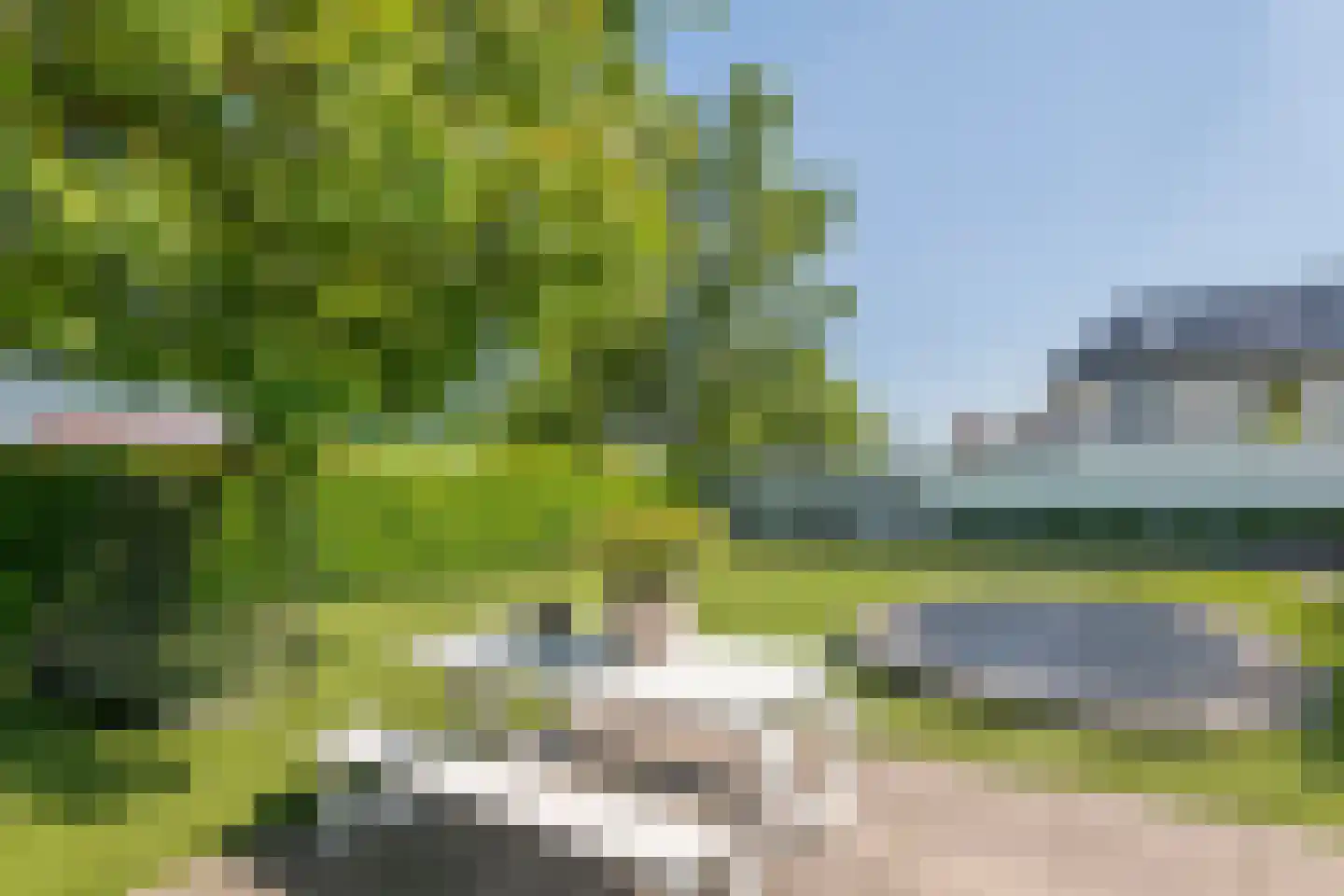Prof. P.H. Buismanlaan 30 Tiel thumbnail 64