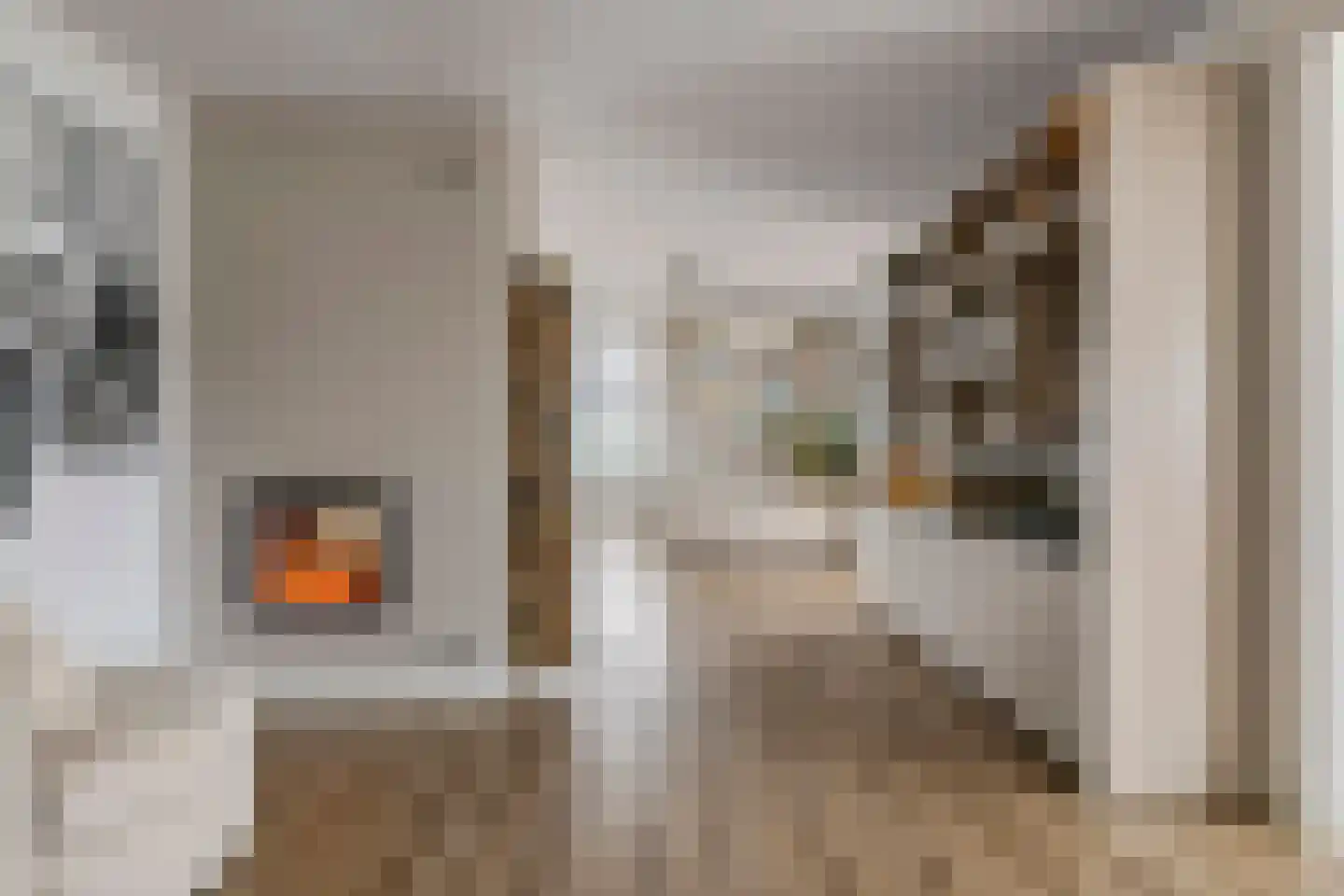 Prof. P.H. Buismanlaan 30 Tiel thumbnail 7