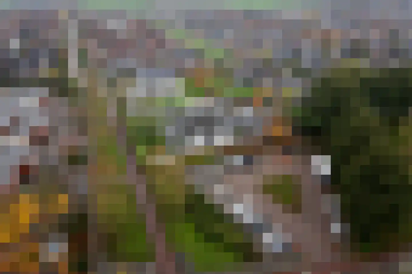 Prof. P.H. Buismanlaan 30 Tiel thumbnail 70