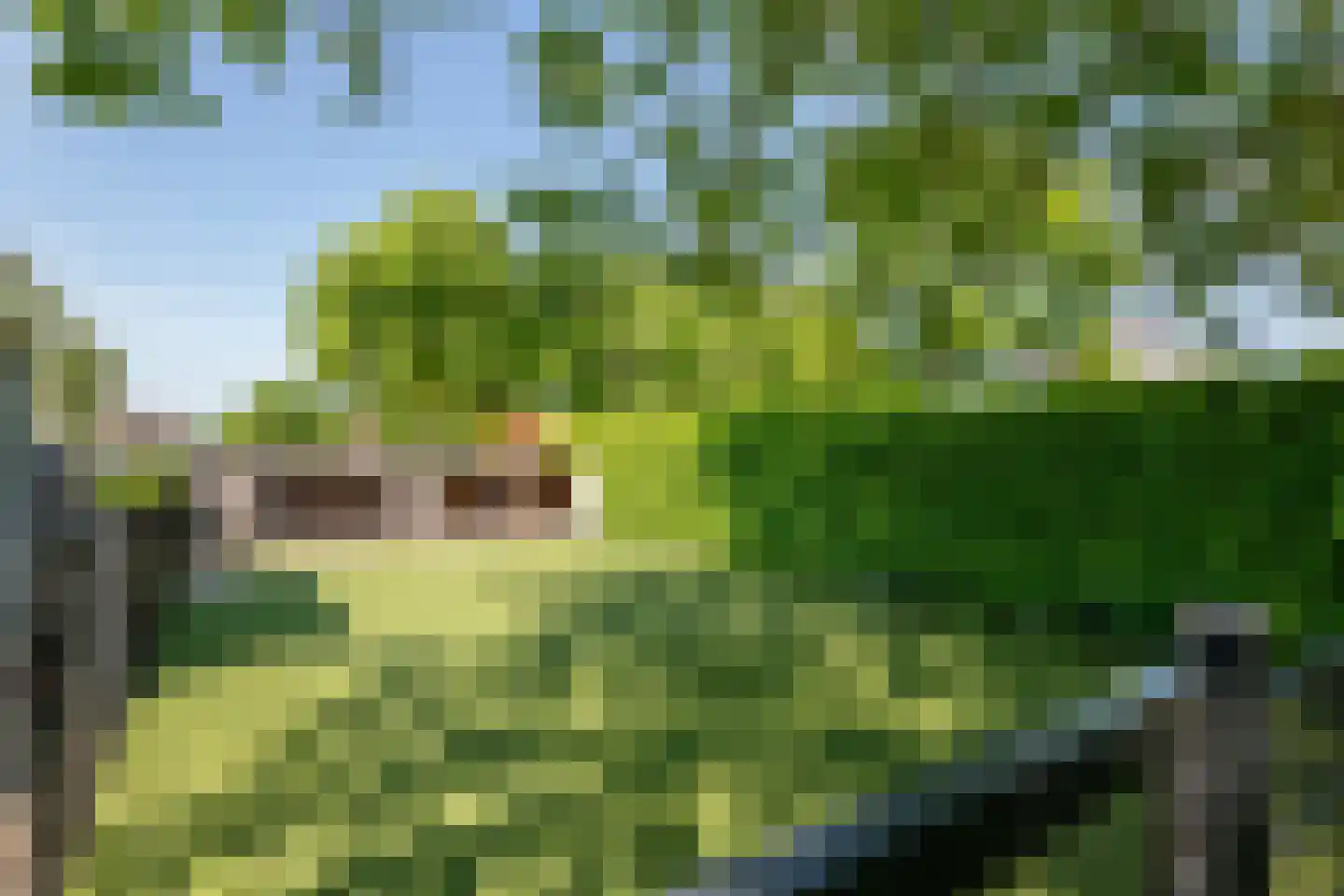 Prof. P.H. Buismanlaan 30 Tiel thumbnail 70