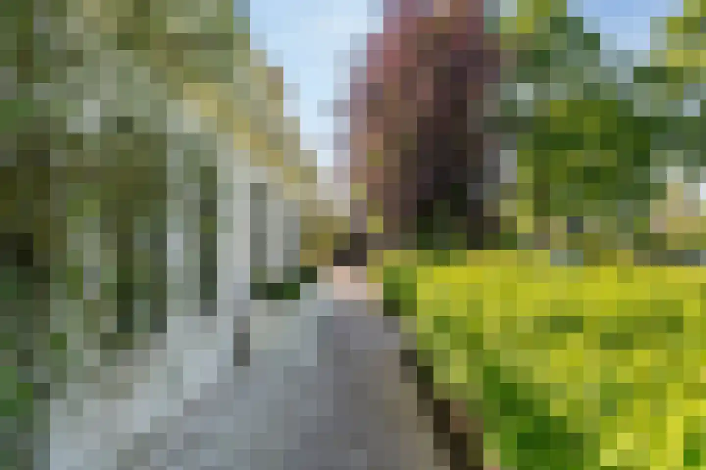 Prof. P.H. Buismanlaan 30 Tiel thumbnail 76