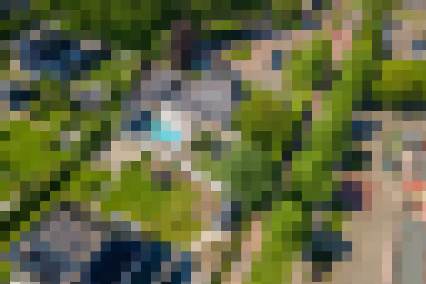 Prof. P.H. Buismanlaan 30 Tiel thumbnail 80
