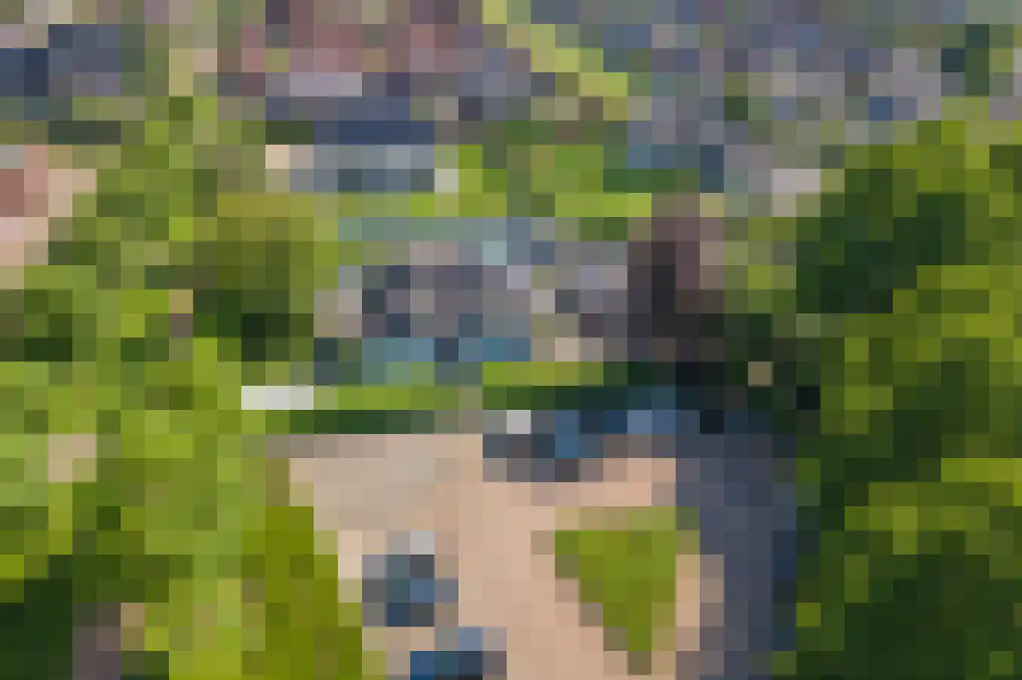 Prof. P.H. Buismanlaan 30 Tiel thumbnail 83